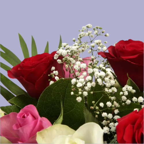 “Romantic bouquet with red, white, and pink roses mixed with baby’s breath and greenery, wrapped in pink paper – UK flower gift.”