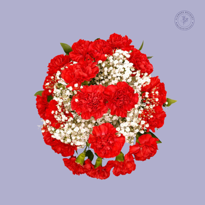 Red Carnation Bouquet with Baby's Breath