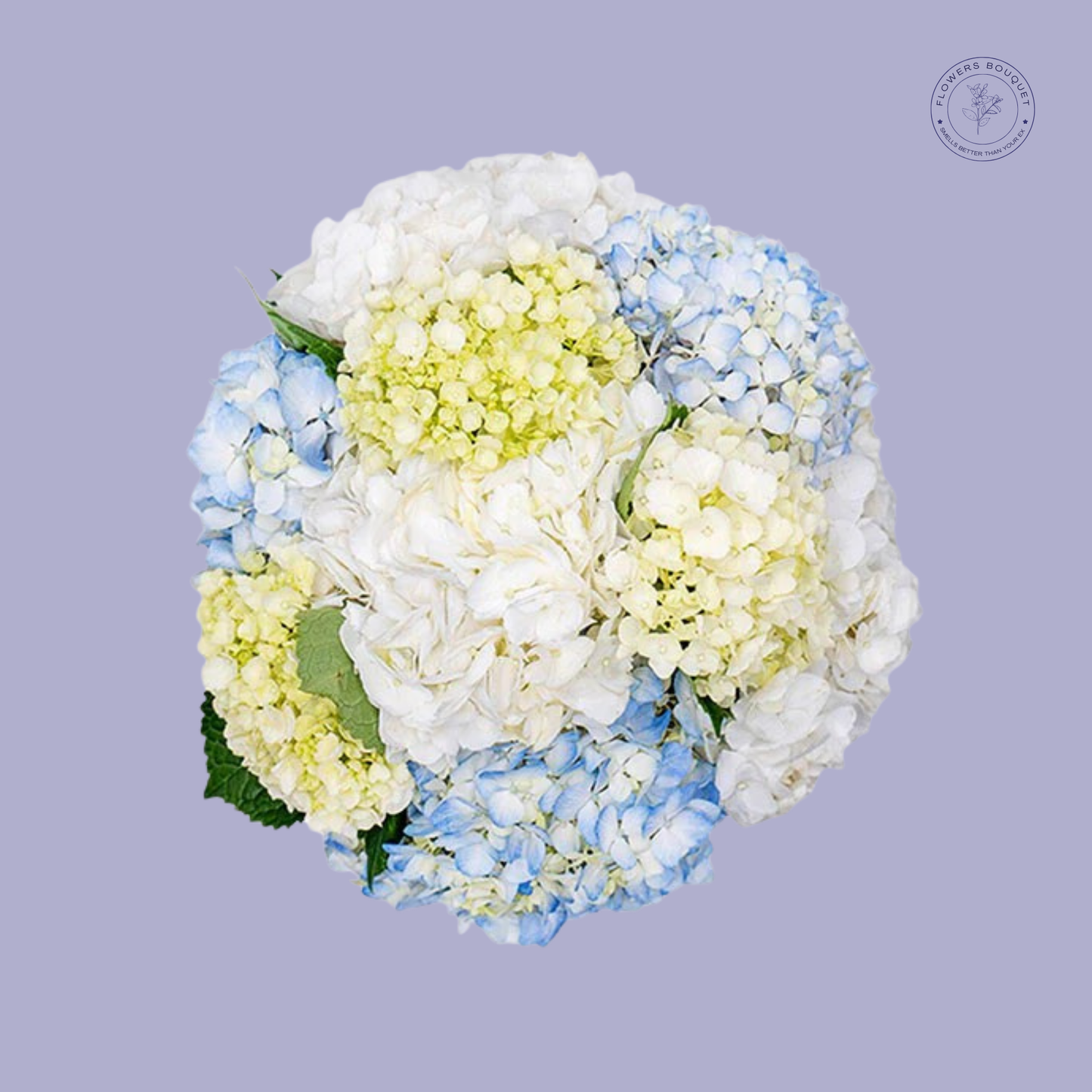 Elegant Hydrangea Bouquet