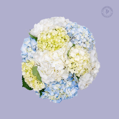 Elegant Hydrangea Bouquet