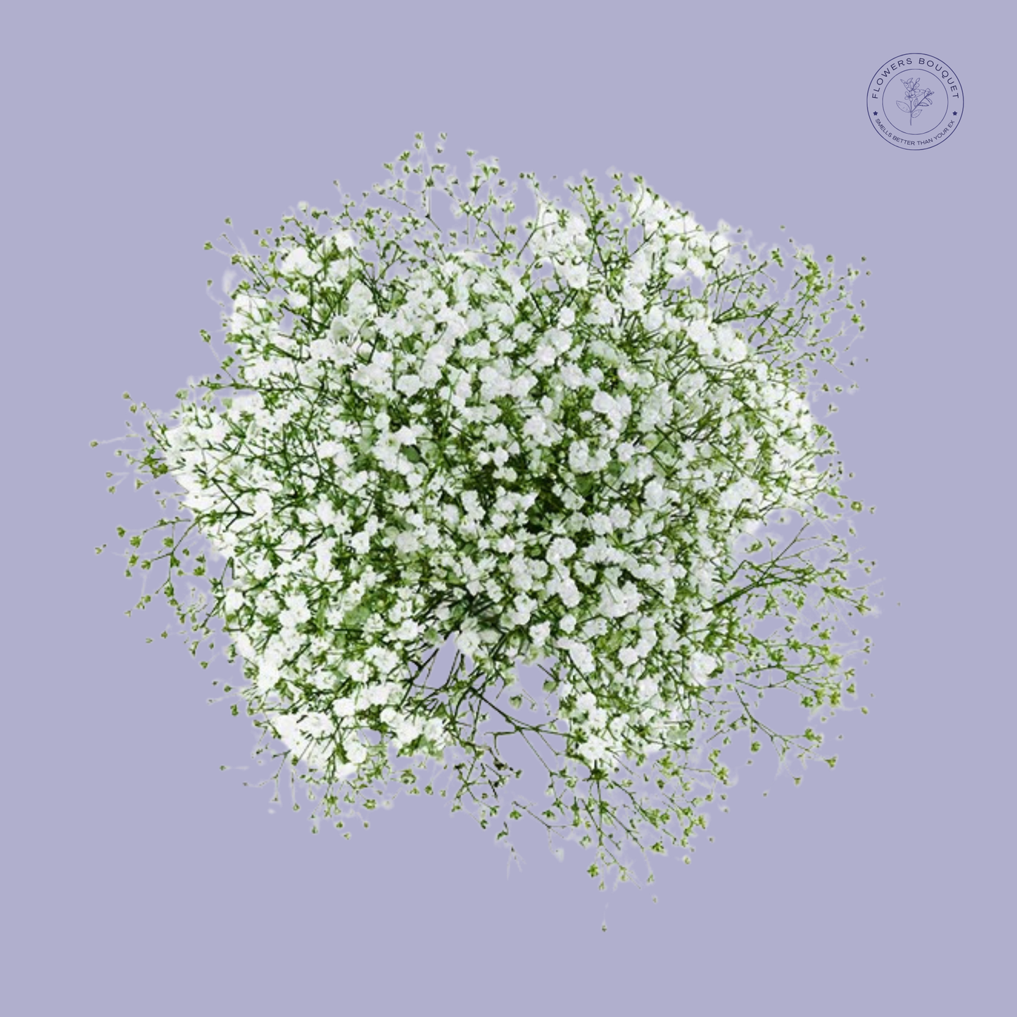 Elegant Baby's Breath Bouquet