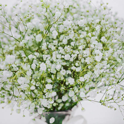Elegant Baby's Breath Bouquet