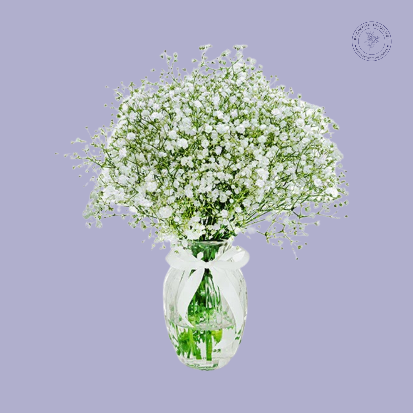 Elegant Baby's Breath bouquet wrapped in a white ribbon.