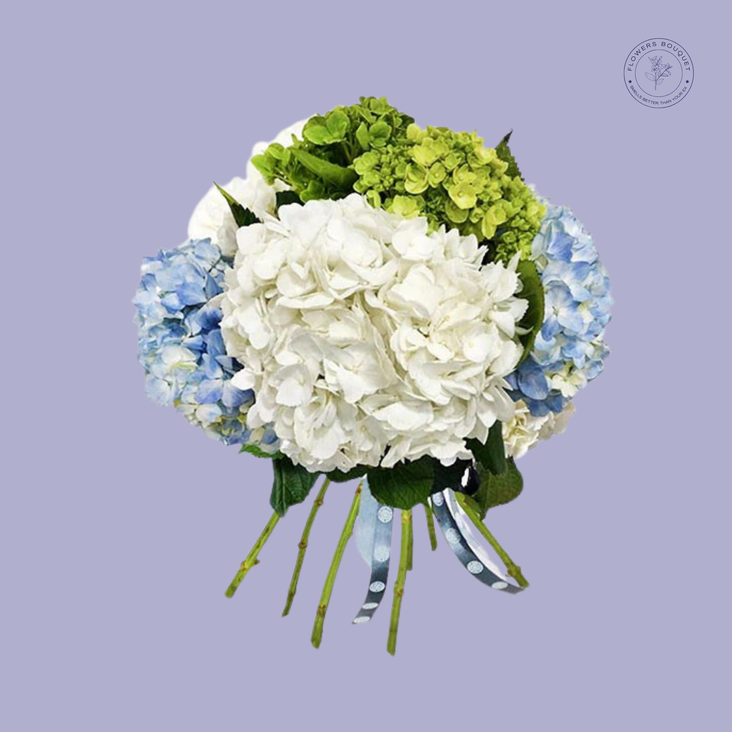 Elegant bouquet of white, blue, and green hydrangeas tied with a satin ribbon.