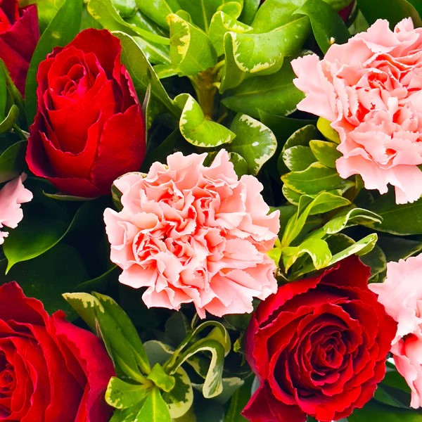 Red Roses and Pink Carnations Bouquet