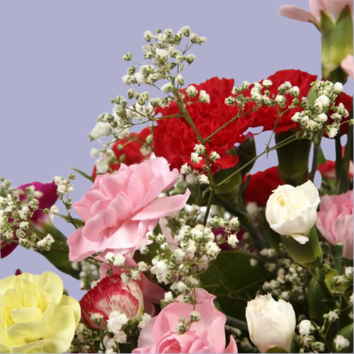 “Mixed carnation bouquet in pink, red, yellow, and peach tones with baby’s breath and greenery, wrapped in white paper – under £35 UK flowers.”