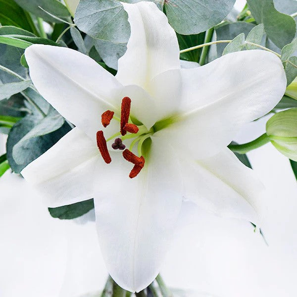 Elegant White Lily Bouquet